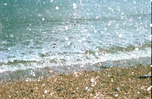 Sand And Sea