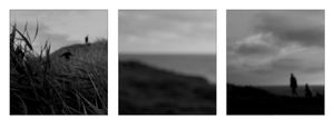 Late Summer/ Triptych