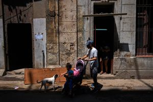 Animals and Kids