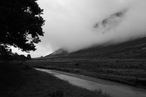 Misty Lakes