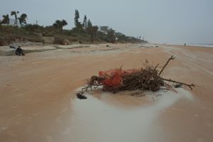 Man Watching with Flotsam
