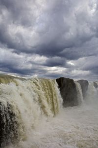 Foss 35