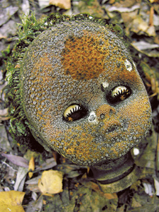 TRACES-TCHERNOBYL - La poupée atomique