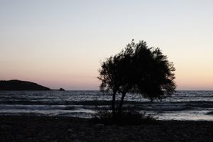second morning #06