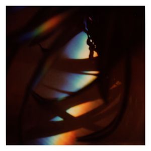 Twilight | Secret Life of Plants XIX