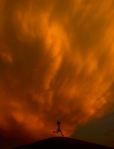 Unexpected Sky