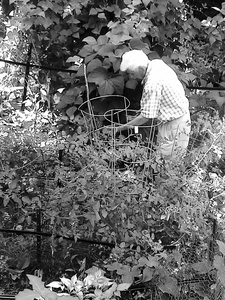 A final visit to the  Garden