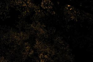 Deep Black