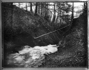 Dog Falls