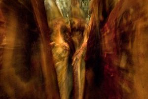 Slaughterhouse elegy XXV.