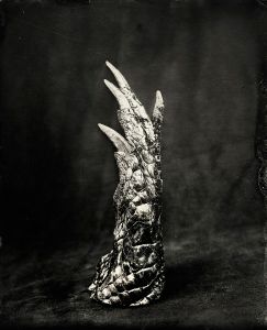 Crocodile Claw