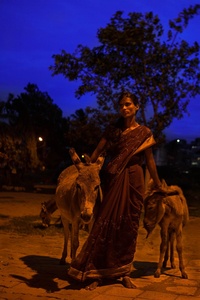 Donkey Milk Seller