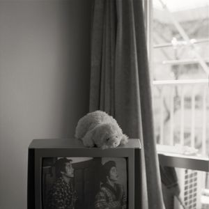 Long Goodbye 2006