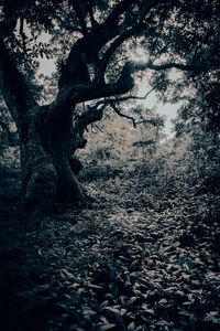 A deep corner