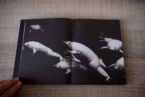 Hidden Reality Photobook