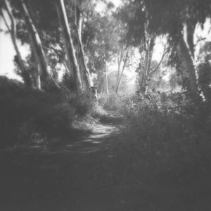 Holga 120N exposure
