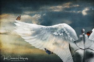 Butterfly Angel