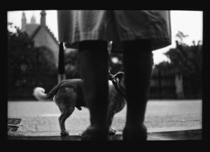Untitled (Woman and Dog Westminster), 2013
