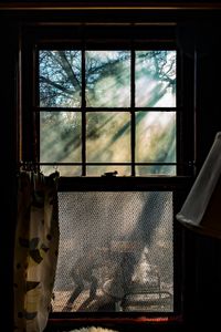 window