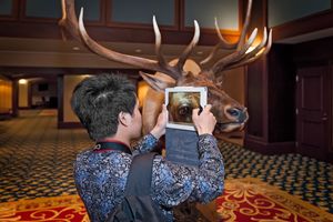 Shooting a bullseye, World Taxidermy Championships, 2013© Arthur Drooker