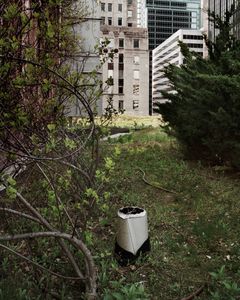 © Brad Temkin