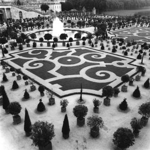 L'Orangerie, Versailles