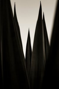 Towers