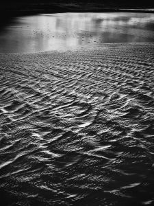 Beside the water II