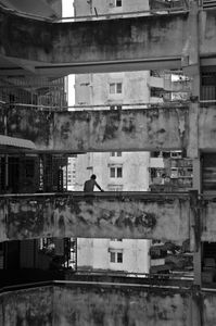 Lonely in the concrete
