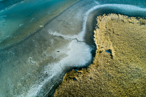 Lakeshore Operations | Ground Level Series #04
