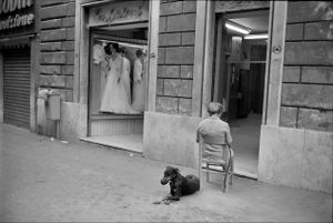 Woman, Dog and Wedding Dresses