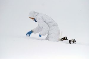 "Scientist"