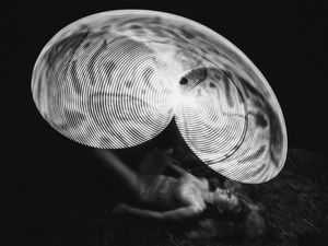 Nocturnal Canvas