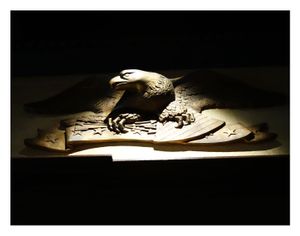 Shadows Cast