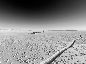 The Arctic Paradox