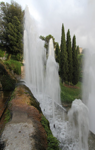 Fountains of Cypress	Tivoli, Italy