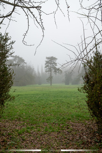 The cemetery