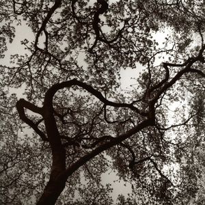 Love Reaches Out, Brooklyn, NY, 2008   © Kimberly Schneider