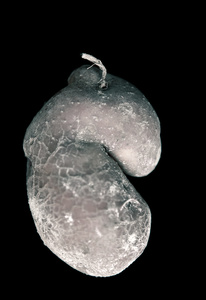 potato
