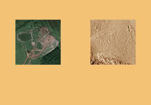 Earth Herbarium, Part III © Evgeny Molodtsov