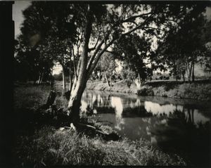 along the riverbank bis