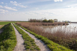 Brussa