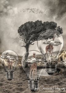 Electric Giraffes
