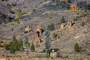 Early Autumn Color, Sonora Pass, CA