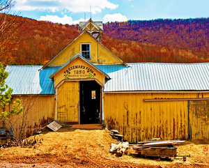 Rosemary Farm- Roxbury, NY