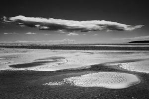 Bannow #5