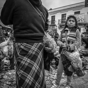 © Francisco Alcala Torreslanda