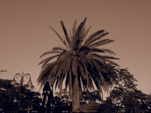 Porto Rafti_2