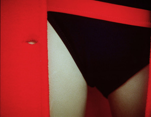 Window.Paris.1980-1981
