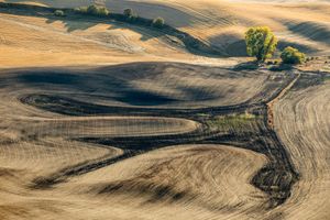 Palouse, WA. Study #69                        (47 1.9400N - 117 17.8415W)